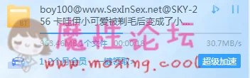 QQ图片20190305235806.png